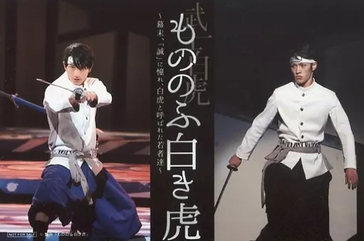 舞台 もののふ白き虎 DVD