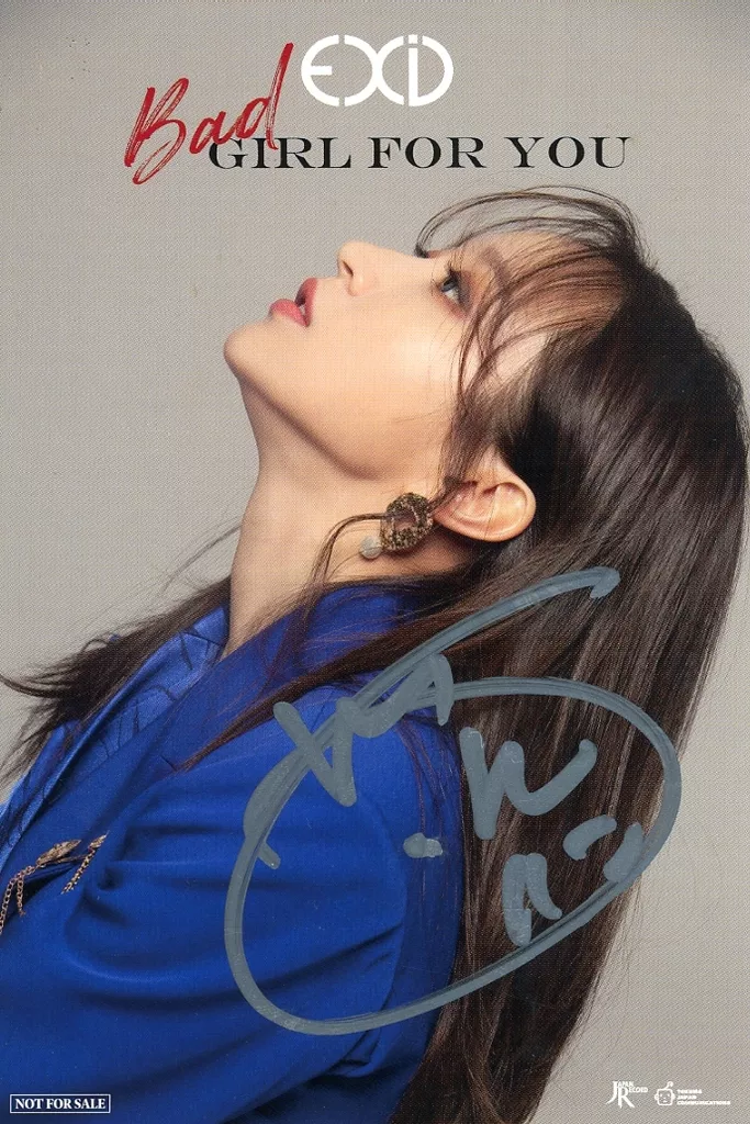 大幅値下げ】EXID ポスター 【公式通販】