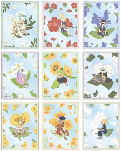Character card [Box] Dr. STONE Trading Botania Acrylic Card
