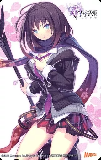 娘type VALKYRIE DRIVE 2冊セット 51XQZhM8NwL._AC_SY200_QL15_.jpg