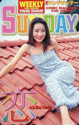 Female idol and actors telephone card 