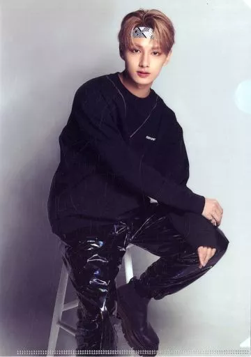 クリアファイル ジュン(SEVENTEEN) オリジナル両面クリアファイル 「D