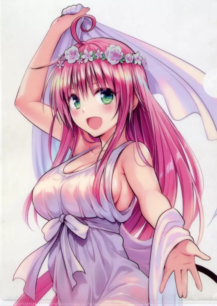 To LOVEる クリアファイル クリアファイル ララ・サタリン・デビルーク A4クリアファイル 描き