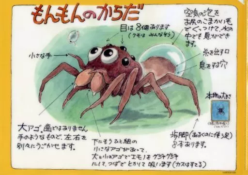 クリアファイル もんもん A4クリアファイル 「水グモもんもん」 三鷹の