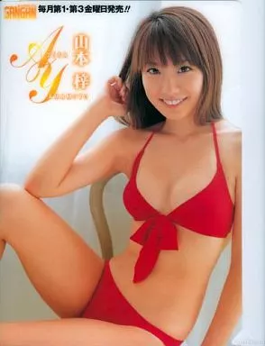 クリアファイル(女性アイドル) 山本梓 クリアファイル コンビニ限定2008ヤングガンガンNo.17付録 | 雑貨・小物 | Suruga-ya.com