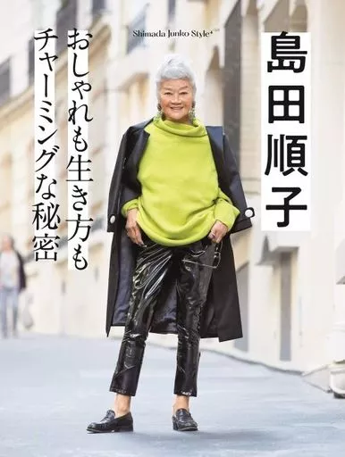 島田順子JUNKO SHIMADA image.jpg