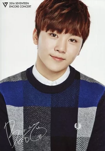 Official photo (Male) / idol / Seventeen Seventeen / Boo Seung