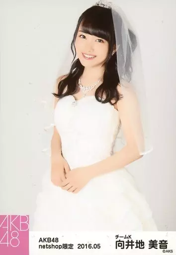 AKB48 向井地美音 2016年 卓上カレンダー （AKB48公式サイト