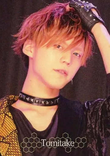 むすめん。/トレカ 気まぐれプリンス めせもあ MeseMoa むすめん 写真