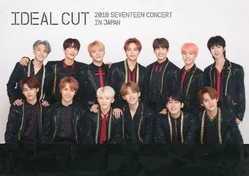 Collection Card (Male) / 「 2018 Seventeen CONCERT' IDEAL CUT' IN JAPAN 」  Trading Card 101 : SEVENTEEN / Gather (13 people) / Normal card / 