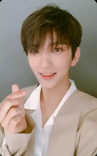 SEVENTEEN トレカ　JOSHUA dee on X: 