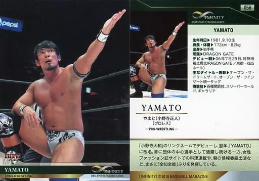 BBM infinity2018 澤穂希 BBM INFINITY 2018 直筆サインカード &frasl;96