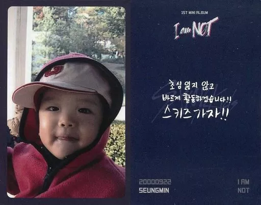 stray kids スンミン i am not sc ポラロイド Collection Card (Male) / CD 「 I am NOT 」 Special Photo