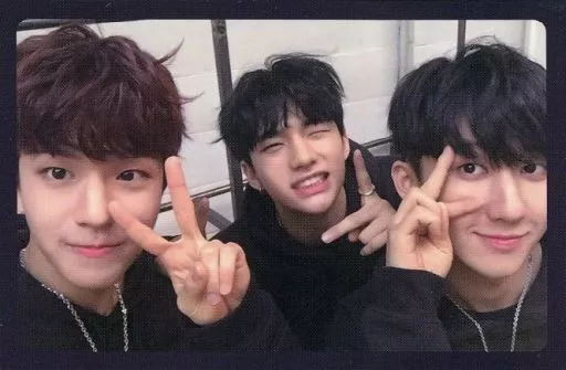 Stray Kids Album I am NOT Limited Official photocard photo