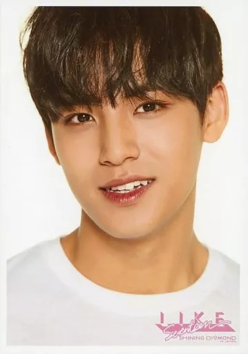 SEVENTEEN shining diamond CONCERT ミンギュ seventeen