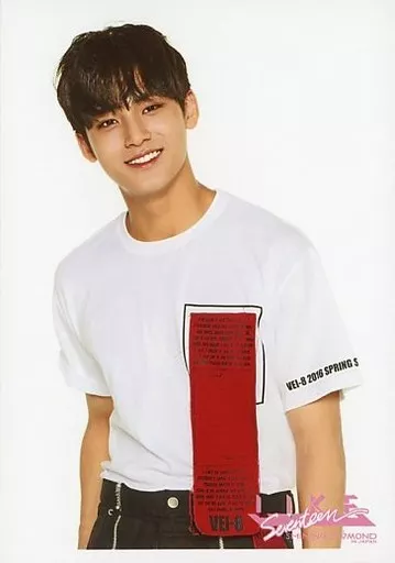 Official photo (Male) / idol / Seventeen Seventeen / MINGYU