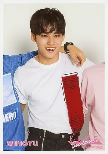 SEVENTEEN 2016 アンコン セブチ 2016アンコン トレカ B セブチ 2016