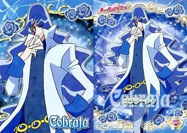 きらりぴか Anime Torayca / Sparkling Card / HEARTCATCH PRECURE
