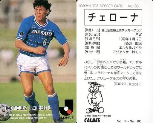 カルビー Jリーグチップスカード チェローナ