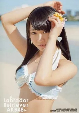 AKB ラブラドールレトリバー 店舗特典 生写真 Amazon.co.jp: AKB48 公式生写真 ラブラドール・レトリバー 店舗