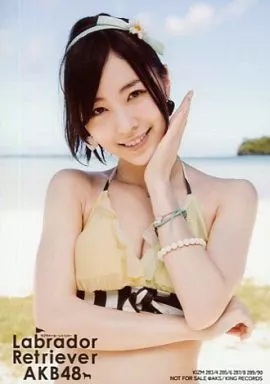 AKB48 ラブラドールレトリバー SKE48 初々しく 劇場盤 松井珠