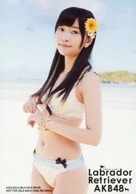 生写真(AKB48・SKE48)/アイドル/HKT48 指原莉乃/水着・膝上/CD