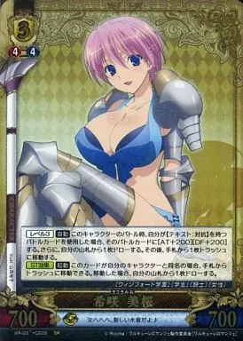 Unlimitedvs アンリミテッドヴァーサス ワルキューレロマンツェ ノエル