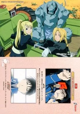 アニメ系トレカ/イラストレーションカード/カードダスマスターズ 鋼の