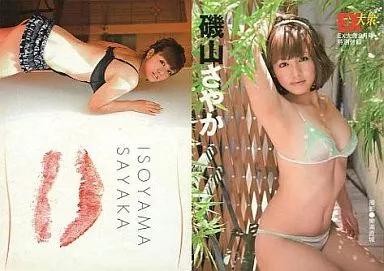 送料込み 狭山微醗酵茶 琥白 Platinum みなみさやか【21gアルミ