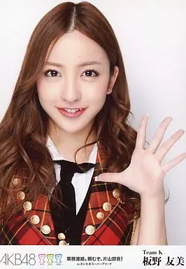 生写真(AKB48・SKE48)/アイドル/AKB48 板野友美/バストアップ