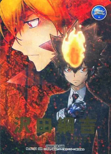 动画系特雷卡/死气白赖/家庭教师HITMAN REBORN！CCG/X第2弹超乱战！选择战来了！ No.001/11[SKR]:(HOLO)泽田纲吉(金烫金)  | 玩具模型