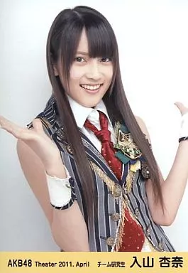 入山杏奈 AKB48 生写真 ANA×AKB48 羽田空港限定コラボ 5種コンプ 入山