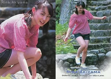 秋山莉奈オフィシャルカードコレクショントレーディングカード 30