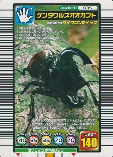 ケンタウルスオオカブト 035 ケンタウルスオオカブト 035
