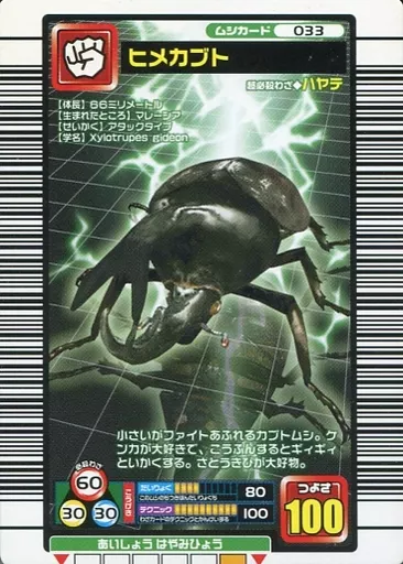 ムシキング/ムシカード/2005 ファーストプラス 033:ヒメカブト ムシキング/ムシカード/2005 ファーストプラス 033:ヒメカブト