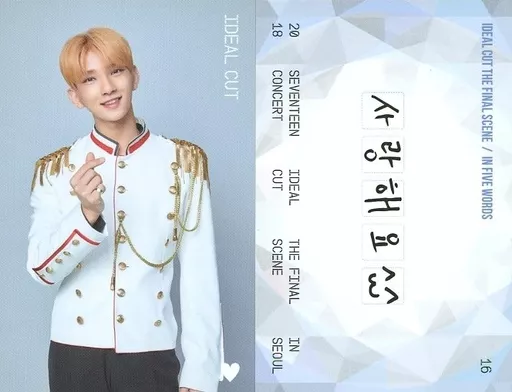 SEVENTEEN IDEAL CUT in SEOULジョシュア トレカ