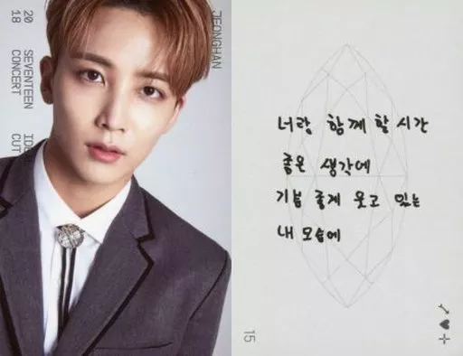 Collection Card (Male) / 「 2018 Seventeen CONCERT' IDEAL CUT' IN