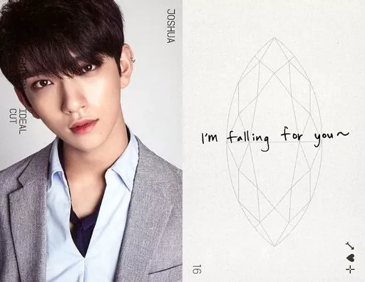 SEVENTEEN  IDEAL CUT in SEOULジョシュア トレカ Collection Card (Male) / 「 2018 Seventeen CONCERT' IDEAL