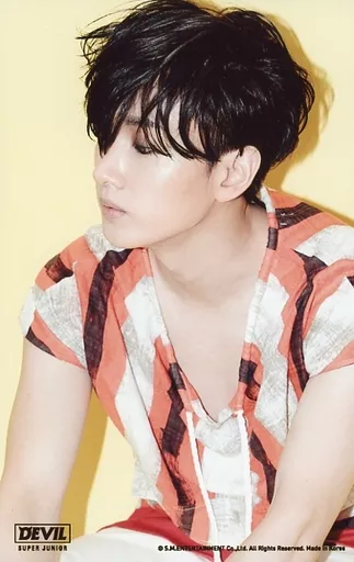 SUPER JUNIOR / UNYUK / Postcard size / 