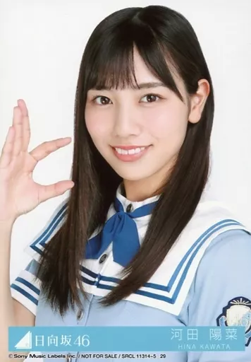 生写真(乃木坂46)/アイドル/日向坂46 29：河田陽菜/バストアップ
