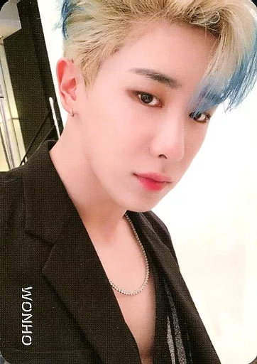 MONSTA X / Wonho (WONHO) / Bust Up, Costume Black, Both Hands Down