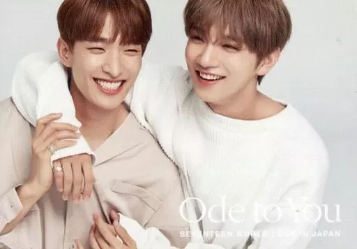 Collection Card (Male) / 「 Seventeen WORLD TOUR <ODE TO YOU