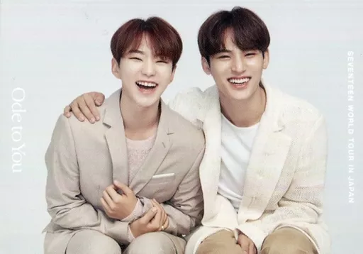 Collection Card (Male) / 「 Seventeen WORLD TOUR <ODE TO YOU> IN