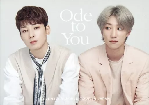 コレクションカード(男性)/「SEVENTEEN WORLD TOUR ＜ODE TO YOU＞ IN