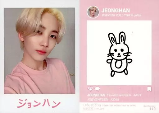 SEVENTEEN 2019 WORLD TOUR IN JAPAN 公式トレカ