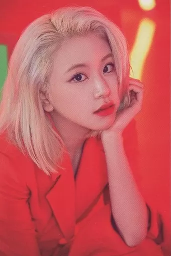 コレクションカード(女性)/｢TWICE WORLD TOUR 2019 'TWICE LIGHTS' in