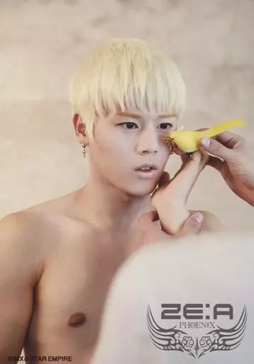 ZE : A / Kim Dong-jun / Bust-up / Nude / Butterfly / Bird