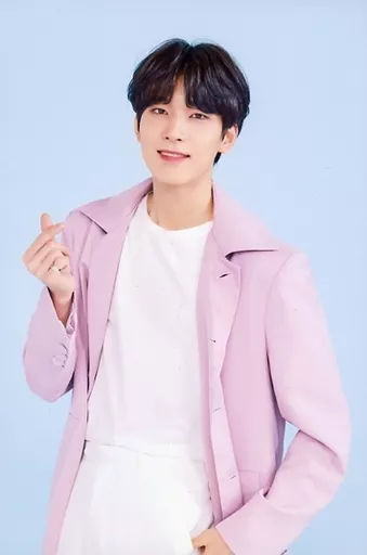 1147】SEVENTEEN yourchoice パワーステーション ウォヌ