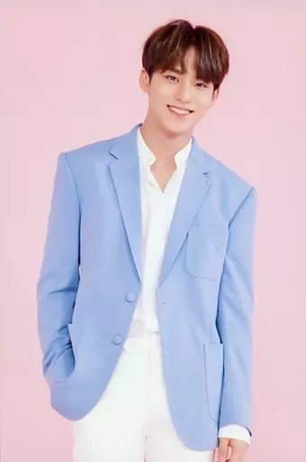 生写真(男性)/アイドル/SEVENTEEN SEVENTEEN/MINGYU(ミンギュ)/膝上