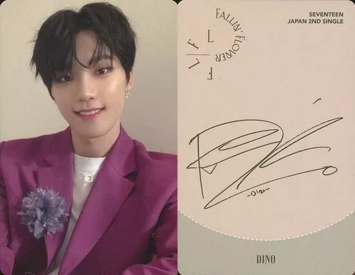 SEVENTEEN 舞い落ちる花びら DINO ディノ トレカ まとめ売り セブチ ディノ まとめ売り - メルカリ